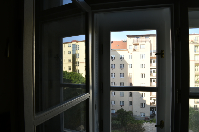 Window, polarizer